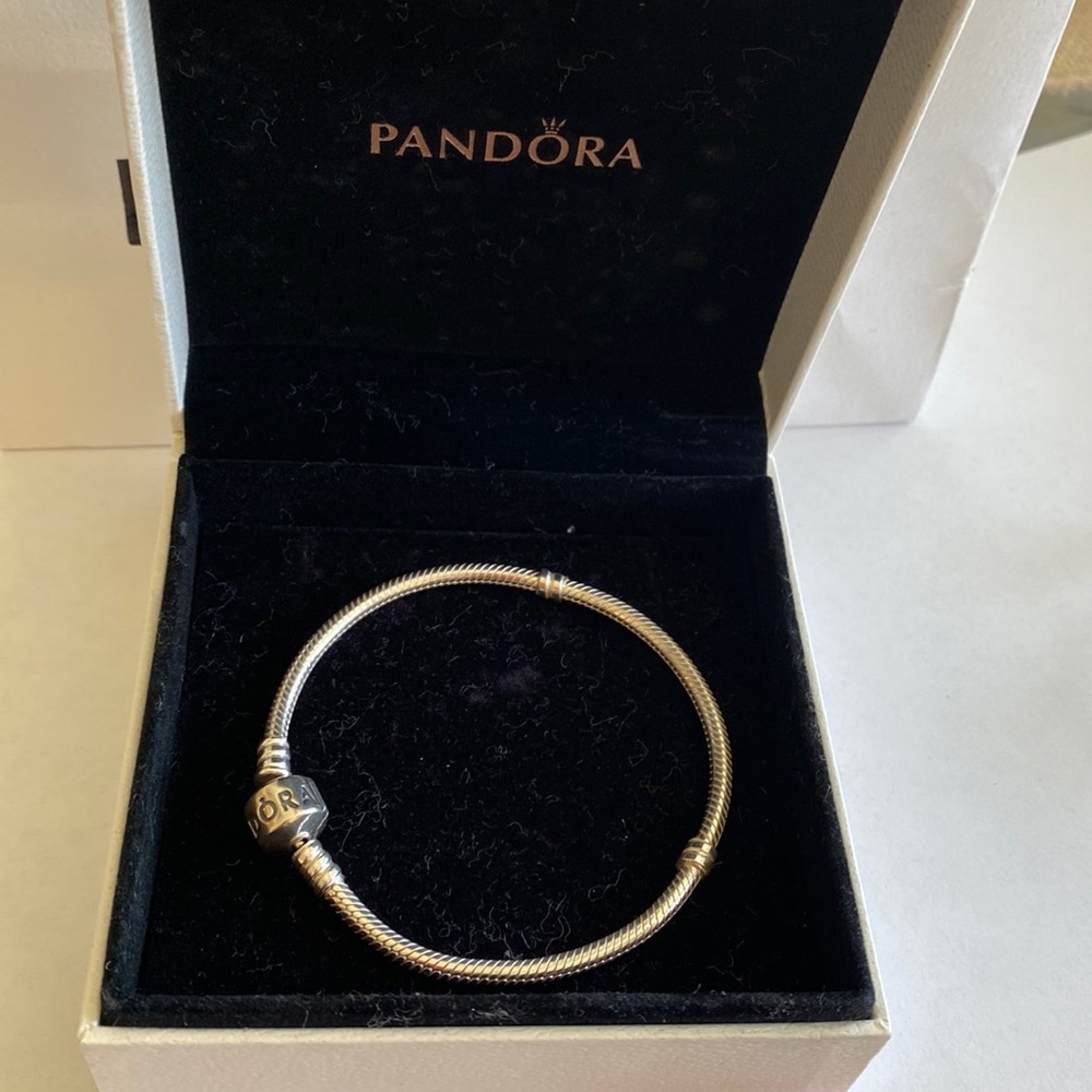 Pandora moments snake chain bracelet